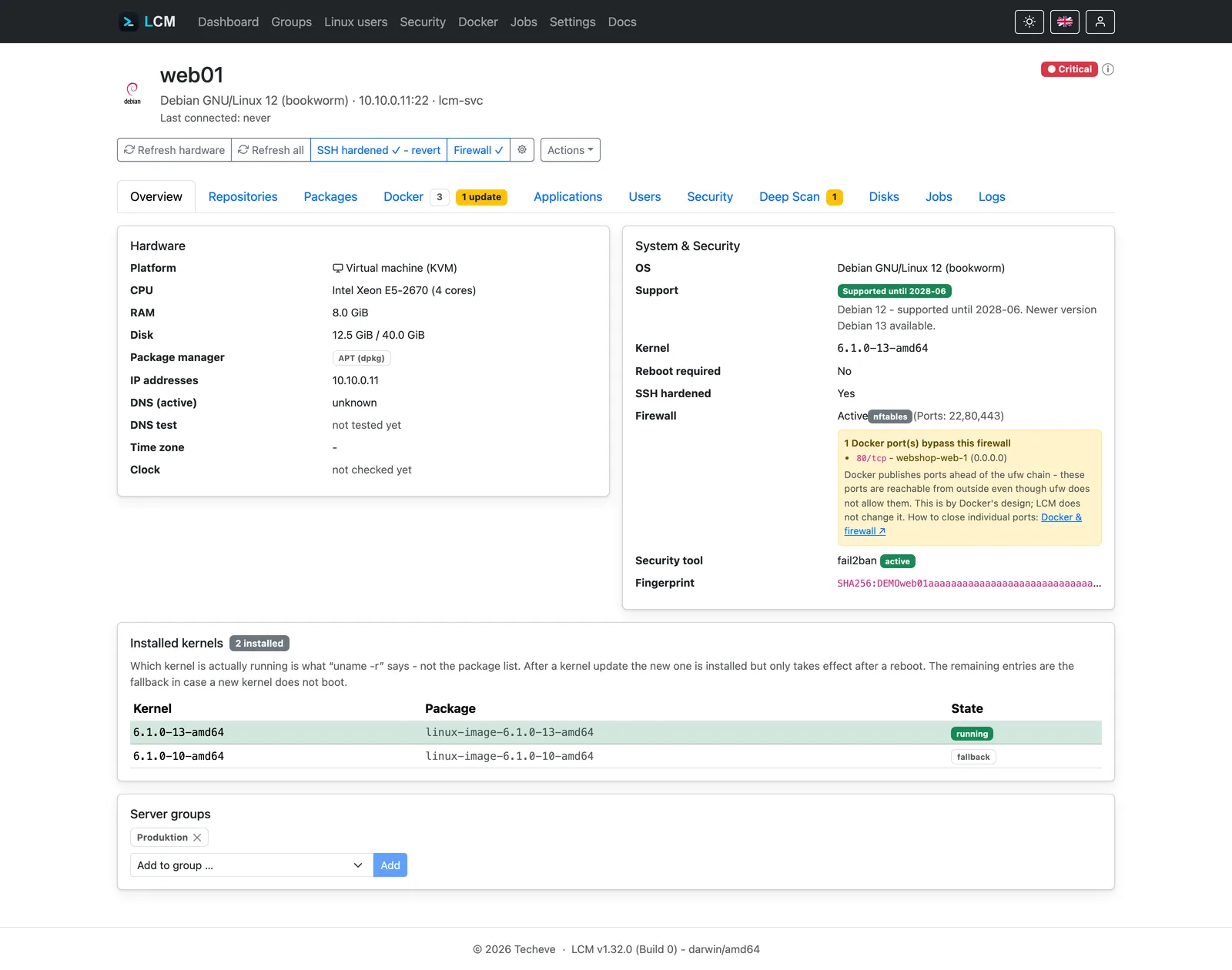 Server-Detailseite mit Hardware, Firewall und Kernel